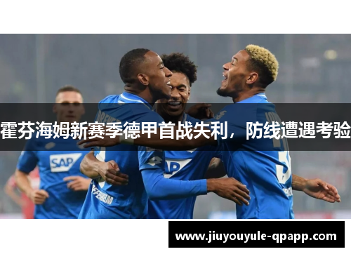 霍芬海姆新赛季德甲首战失利，防线遭遇考验